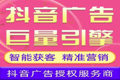 SEM竞价实战：成功案例解析